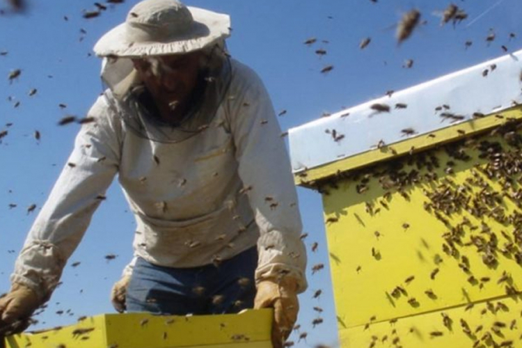 Podsticaj pčelarima za nabavku opreme