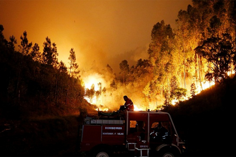 Veliki šumski požar na granici Portugala i Španije