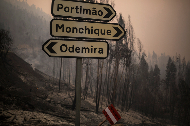 Veliki šumski požar u Portugaliji, na terenu 1.000 vatrogasaca i 327 vozila