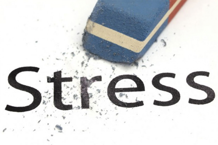 Što se događa u organizmu kad smo pod stresom?