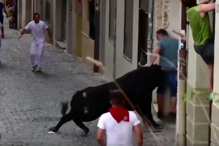 Bik teško povrijedio muškarca tokom festivala, objavljen uznemirujući video
