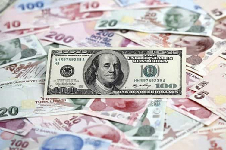 Lira na rekordno niskom nivou u odnosu na dolar