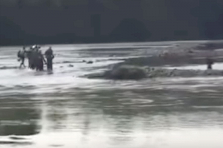 Migranti pokušali pješke preći Drinu, pa ostali na pola rijeke