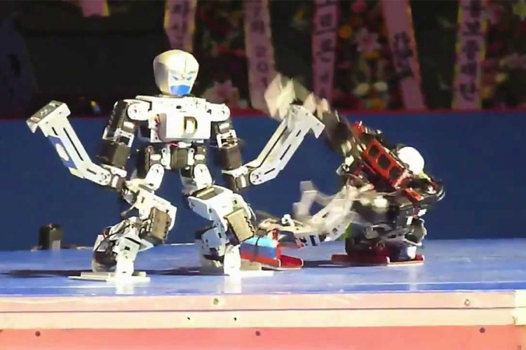Borbe robota sve popularnije u Kini