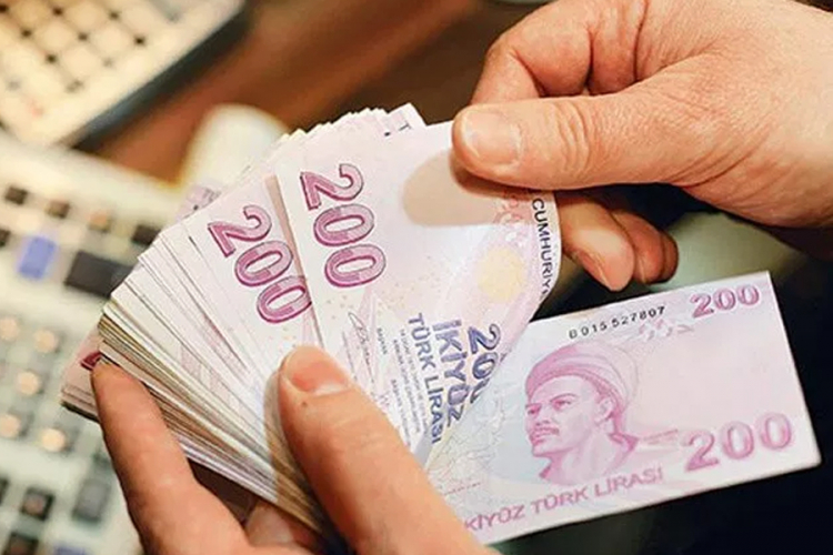 Turska lira danas stabilna prema dolaru