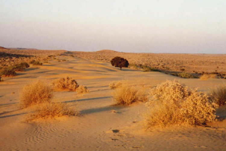 Da li je moguće da pijesak iz Sahare zaustavi uragane?