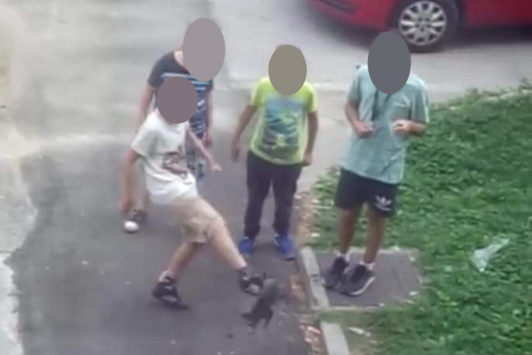 Sarajevo potresla objava na FB: Dječak se iživljavao na maci, drugari stajali i gledali