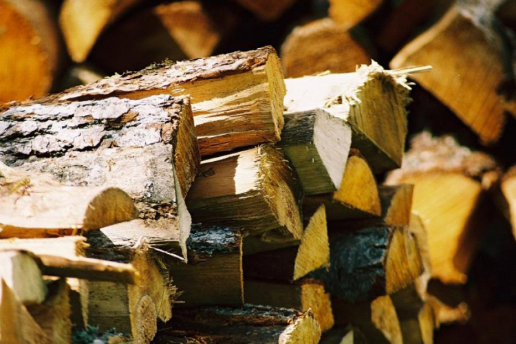 Vlada USK naredila inspekciji da preduzme mjere: Stop divljanju cijena drva