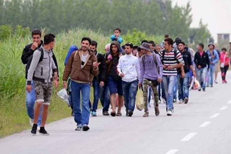Na području Novog Grada evidentirano 13 migranata