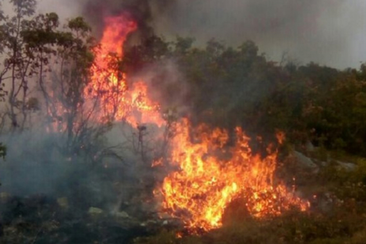 Požar na Bioču, kuće nisu ugrožene