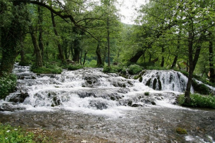Izvorišta vode širom Srpske idu pod koncesiju