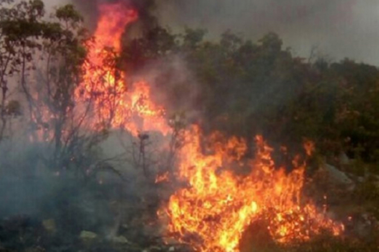 Vjetar otežava gašenje požara na Bioču
