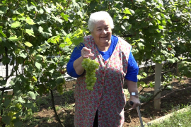 Jelena Njegić-Bešić uzgaja u egzotičnom vrtu kivi i japanske jabuke