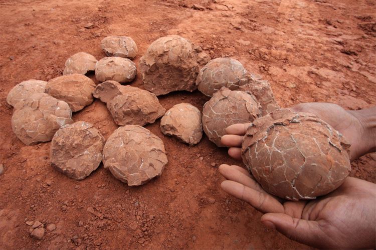 Arheolozi u Kini pronašli fosilna jaja dinosaurusa