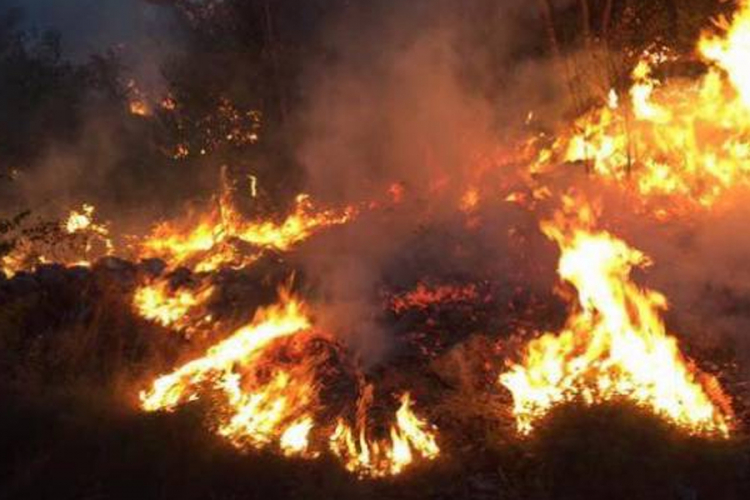 Požar na Skadarskom jezeru pod kontrolom