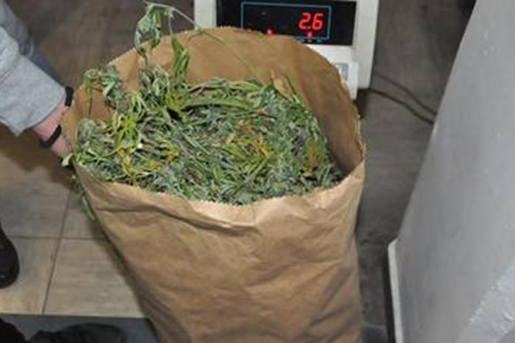 Uhapšeni dileri sa 10 kilograma marihuane i pola kilograma heroina