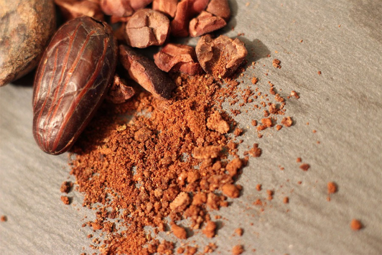 Kakao korišćen prije 5.400 godina