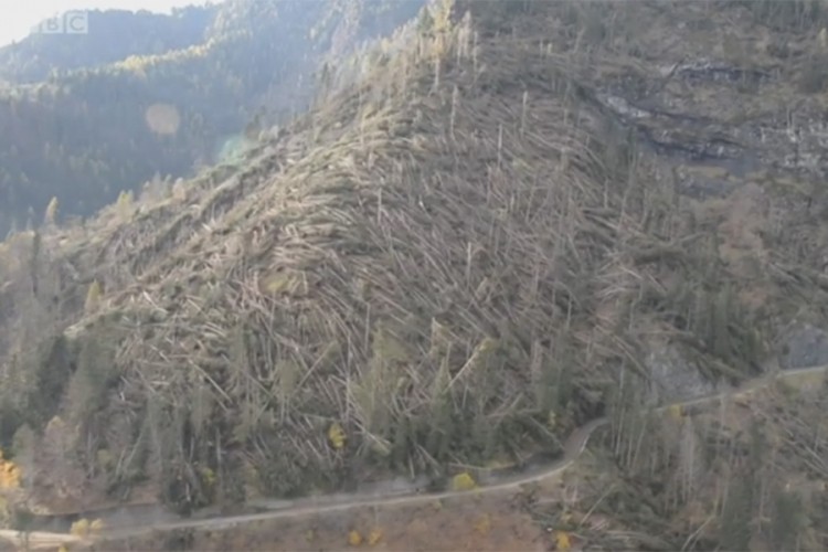 Snažni vjetrovi uništili šume na sjeveru Italije