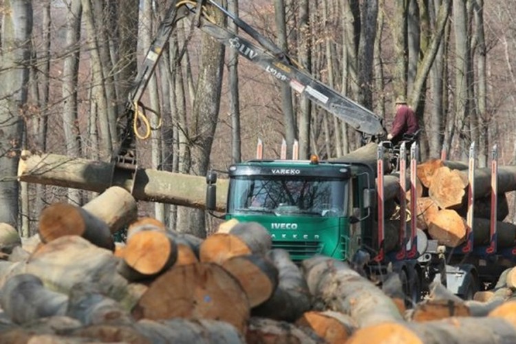 Drvoprerađivači iz Ribinika: Obustava isporuke drveta ugrožava naš rad