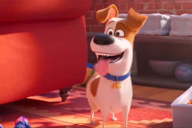 Stiže nastavak animiranog hita "The Secret Life of Pets"