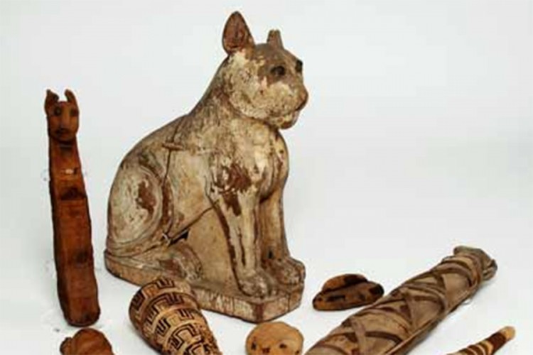 Pronađene mumifikovane mačke i bube