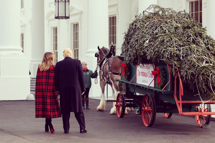 Donald i Melanija Tramp primili božićnu jelku za Bijelu kuću