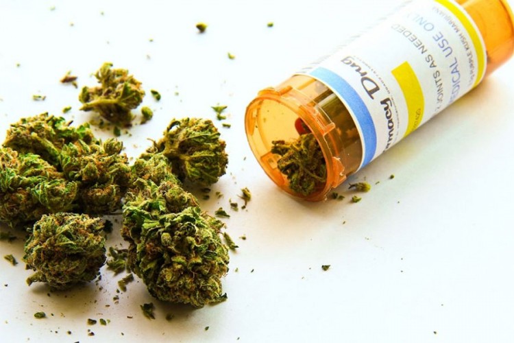 Novi Zeland odobrio korišćenje marihuane u medicinske svrhe