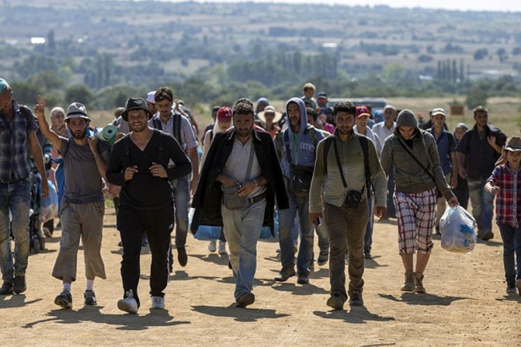 U Doboju pronađeno 14 migranata