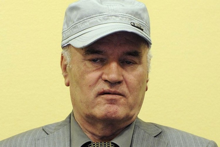 Naredne sedmice zahtjev za privremeno puštanje Mladića na slobodu