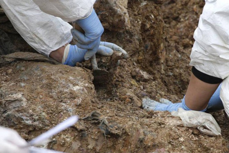 Pronađena masovna grobnica sa 34 tijela