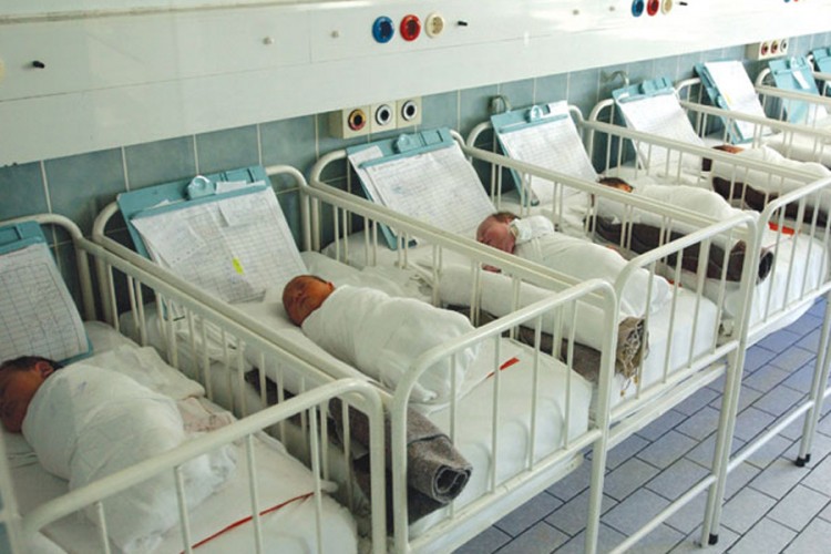 U srpskim sredinama na KiM rođeno 930 beba