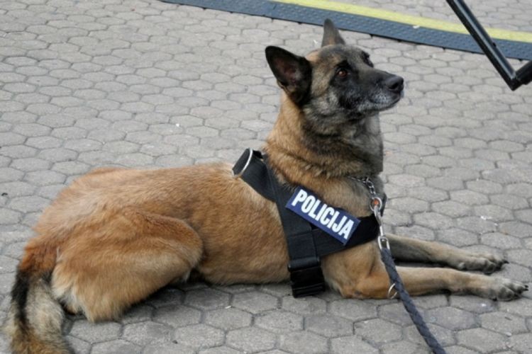 Psi će uskoro otkrivati drogu, eksploziv i sumnjive osobe na granicama u Hrvatskoj