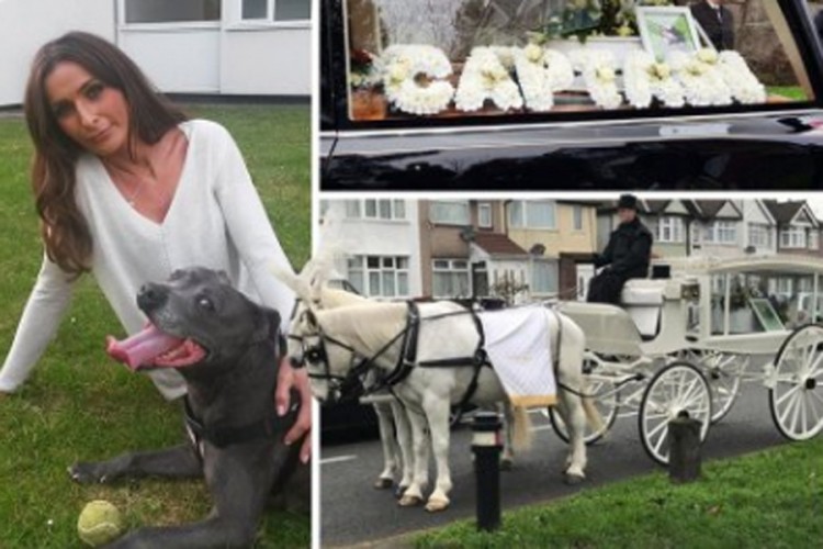Potrošila 4.000 funti za sahranu psa
