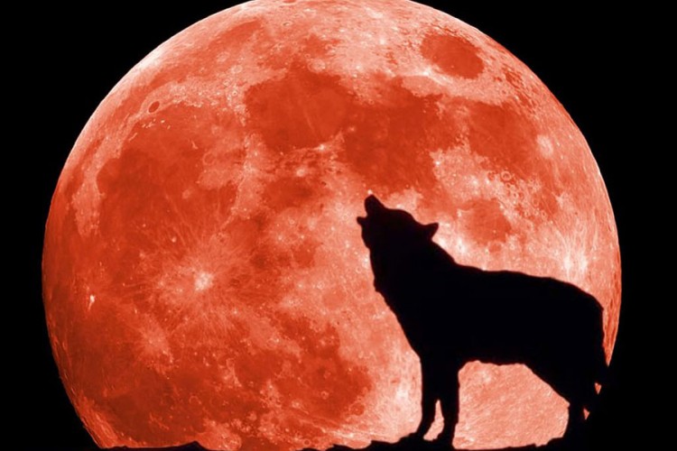 Superkrvavi vučji Mjesec 21. januara vidljiv i u BiH