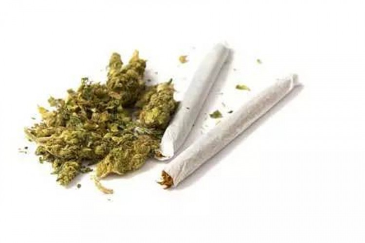 Pronađen 271 gram marihuane