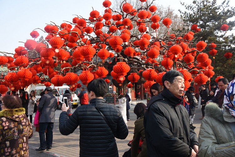 Obilježavajnje praznika proljeća i Nove godine: Kinezi ušli u godinu svinje