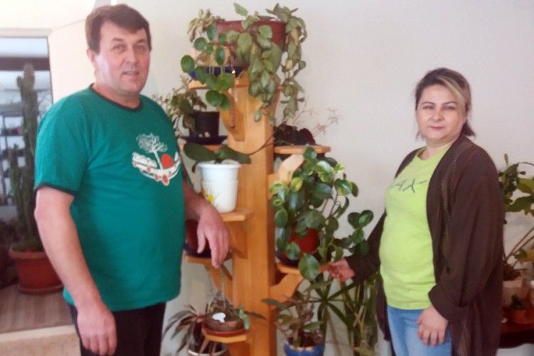 Bračni par iz Tuzle sakupio 1.200 vrsta kaktusa