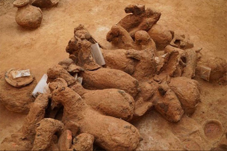 16 ratnika od terakote otkriveno na istoku Kine
