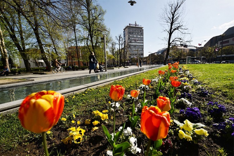 "Festival cvijeća" i ovog proljeća u Banjaluci