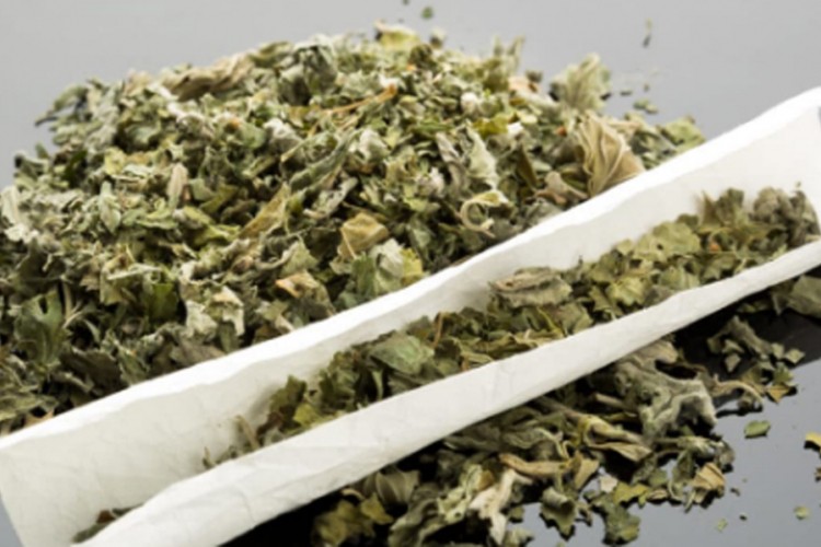 Sa 11 kilograma marihuane krenuo u Hrvatsku