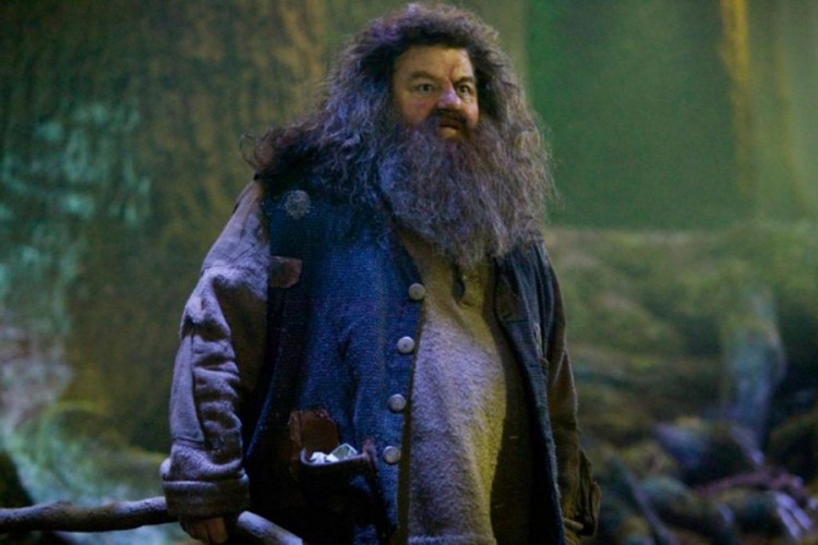 Popularni Hagrid iz Hari Potera teško bolestan