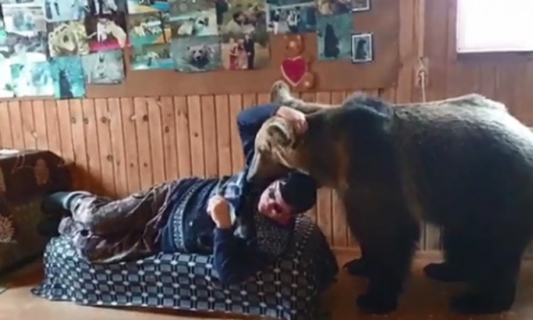 Stepan je medvjed "model" koji mrzi da dijeli svoje mjesto na krevetu