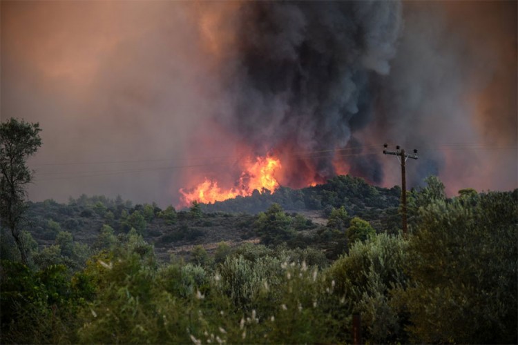 Evakuacija zbog šumskog požara kod Đenove