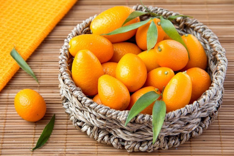 Kumkvat - zlatna narandža u službi zdravlja