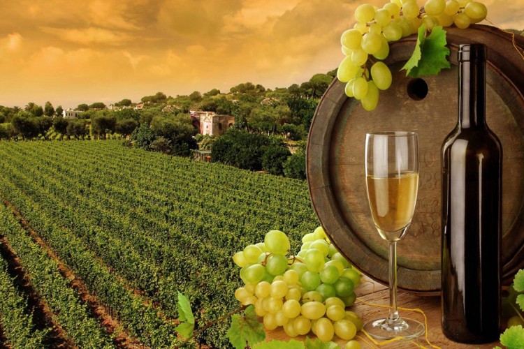 Hrvatska želi da zaštiti nazive vina koje i BiH koristi
