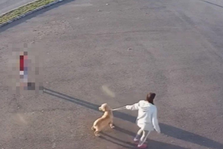 Dubičanka pred kćerkom objesila psa na ogradu?