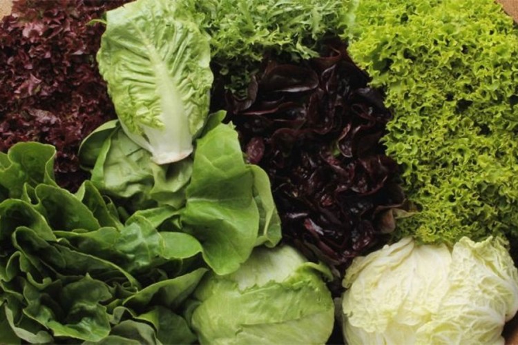 Zelena salata i kupus su zdravi, ali ne za svakoga