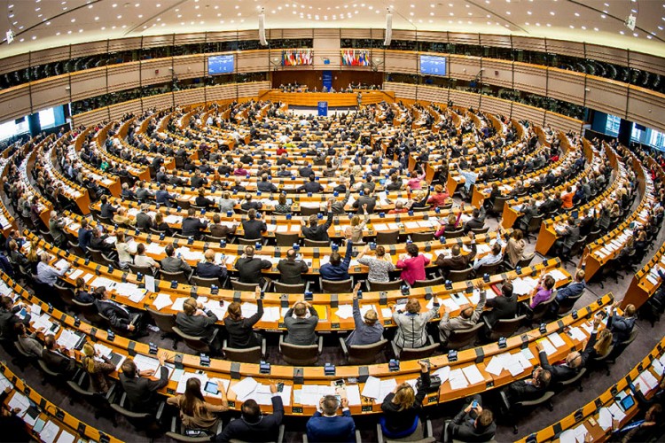 Prvi Srbin u Evropskom parlamentu?