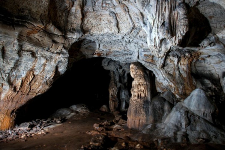 U Istri otkriveno praistorijsko pećinsko slikarstvo