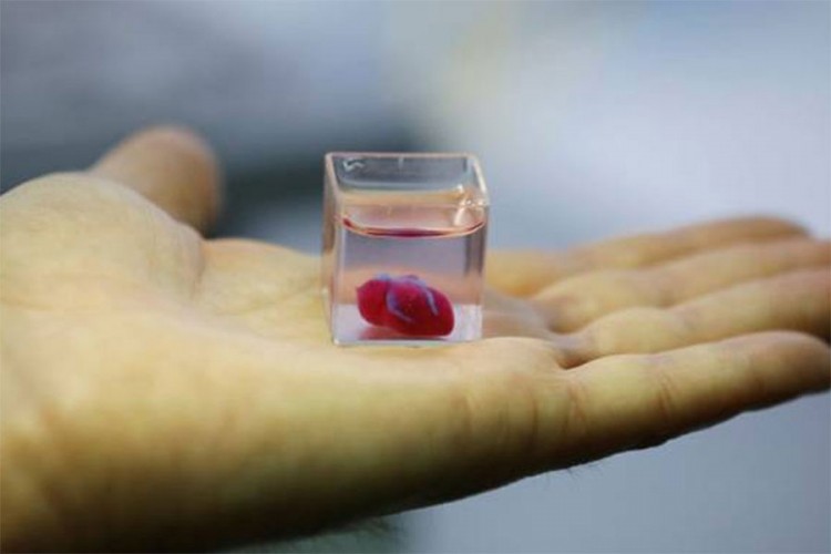 Predstavljeno 3D srce, za deset godina možda ćemo štampati organe